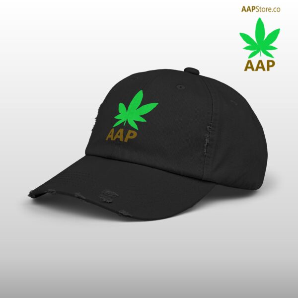 Follow The Program AAP Original AAPStore.co Logo Distressed Cap