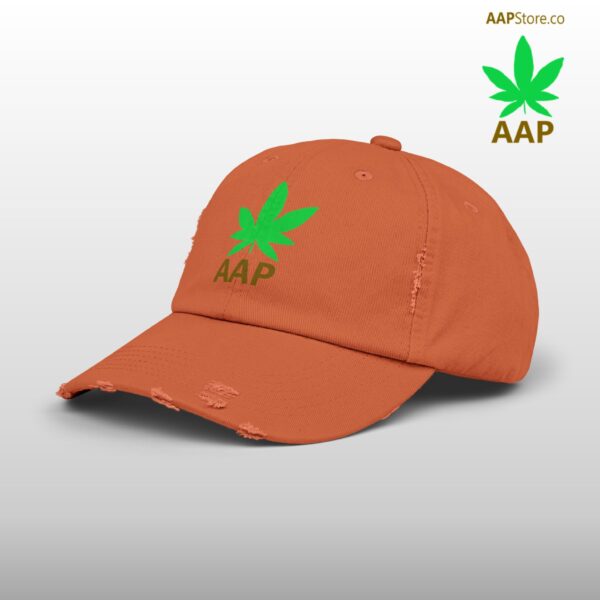 Follow The Program AAP Original AAPStore.co Logo Distressed Cap - Image 8