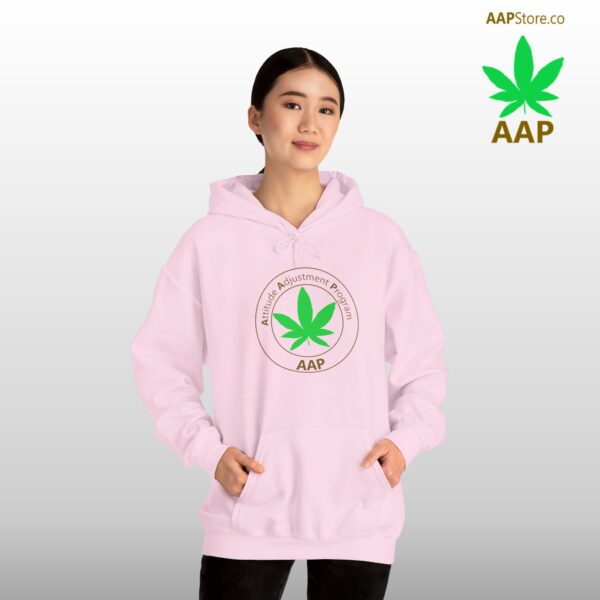 Follow The Program AAP Original Women's Hoodie