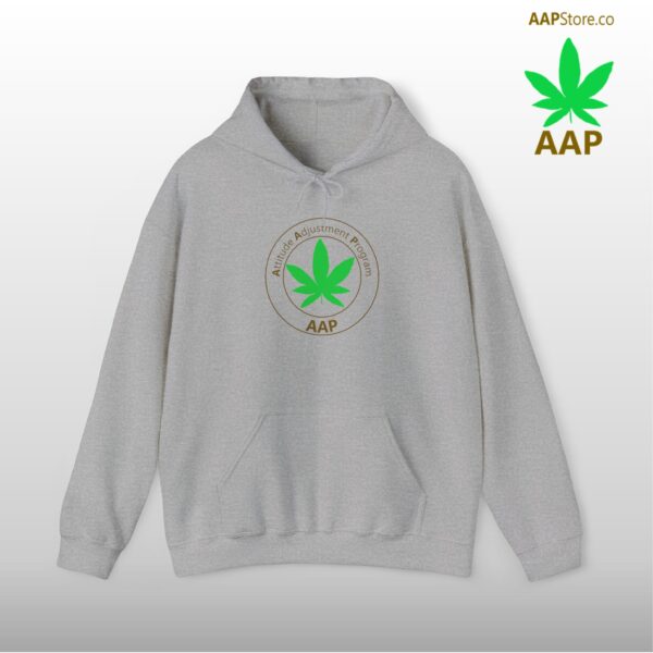 Follow The Program AAP Original Hoodie