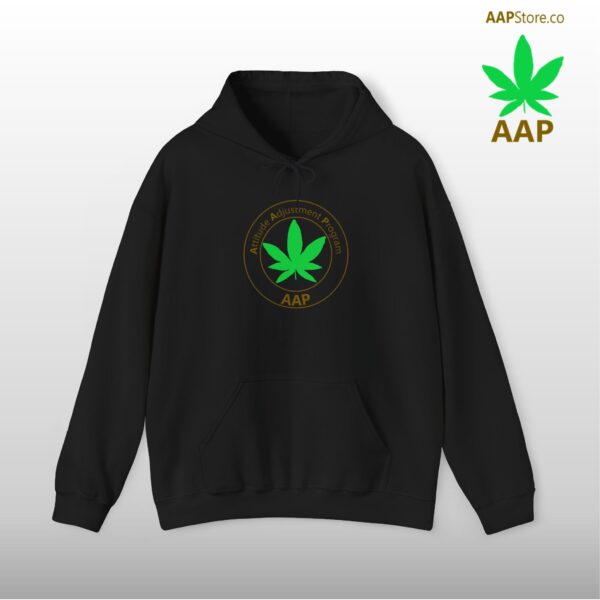 Follow The Program AAP Original Hoodie