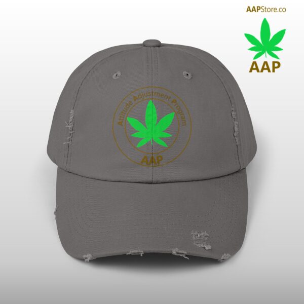 Follow The Program AAP Original Unisex Distressed Cap - Image 31