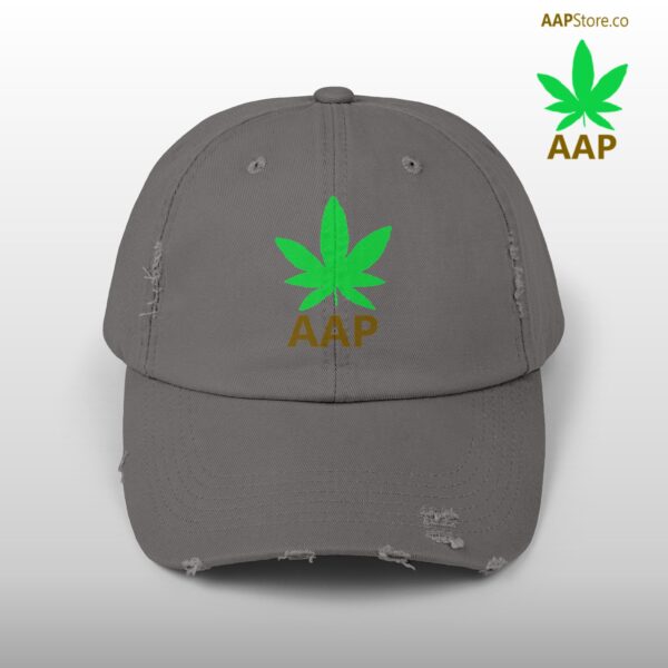 Follow The Program AAP Original AAPStore.co Logo Distressed Cap - Image 25