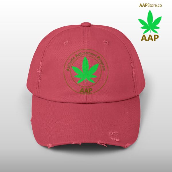 Follow The Program AAP Original Unisex Distressed Cap - Image 43