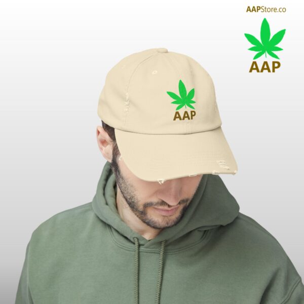 Follow The Program AAP Original AAPStore.co Logo Distressed Cap - Image 40