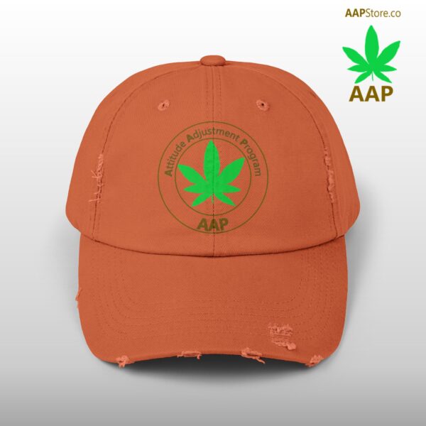 Follow The Program AAP Original Unisex Distressed Cap - Image 13