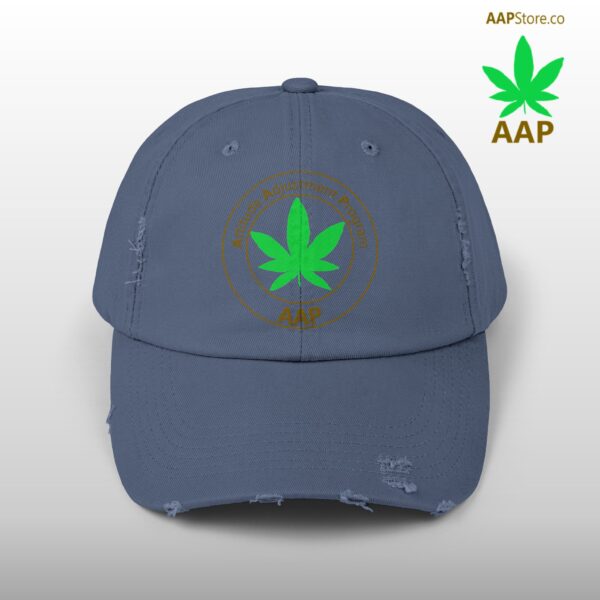 Follow The Program AAP Original Unisex Distressed Cap - Image 25