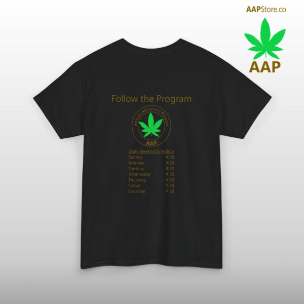 Follow The Program AAP Original Daily 420 2-side Tee