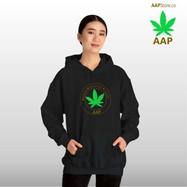 Follow The Program AAP Original Hoodie - Image 2