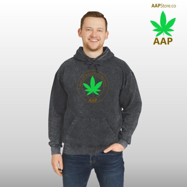 Follow The Program AAP Original Mineral Wash Hoodie Mineral Black