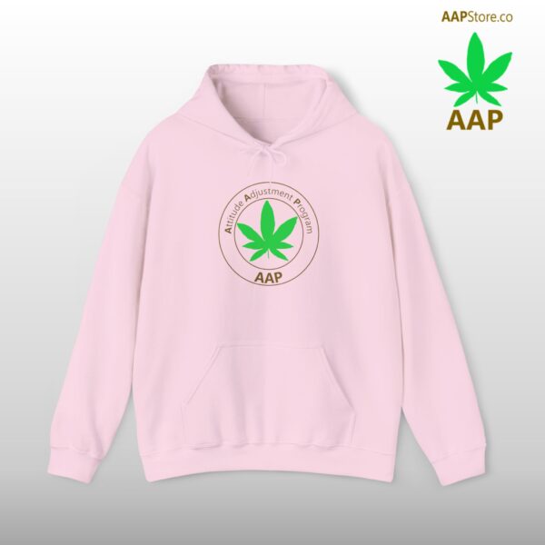 Follow The Program AAP Original Women's Hoodie - Image 2