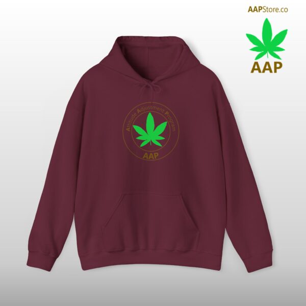 Follow The Program AAP Original Women's Hoodie - Image 18