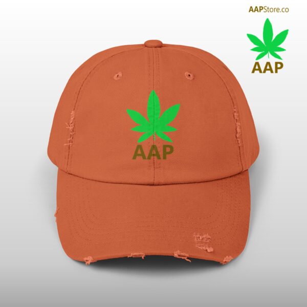 Follow The Program AAP Original AAPStore.co Logo Distressed Cap - Image 7