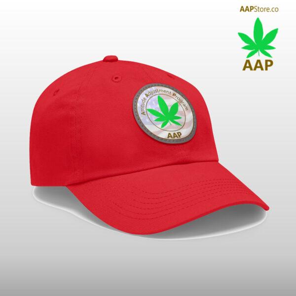 Follow The Program AAP Original Freedom Logo Hat - Image 2