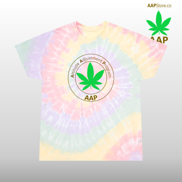 Follow The Program AAP Original Spiral Tie-Dye Tee - Image 2