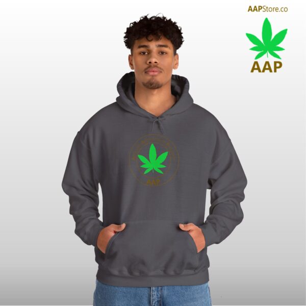 Follow The Program AAP Original Hoodie - Image 18