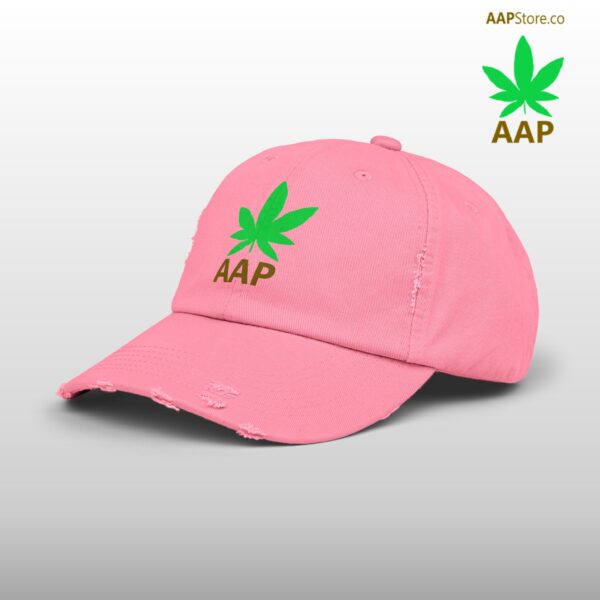 Follow The Program AAP Original AAPStore.co Logo Distressed Cap - Image 44