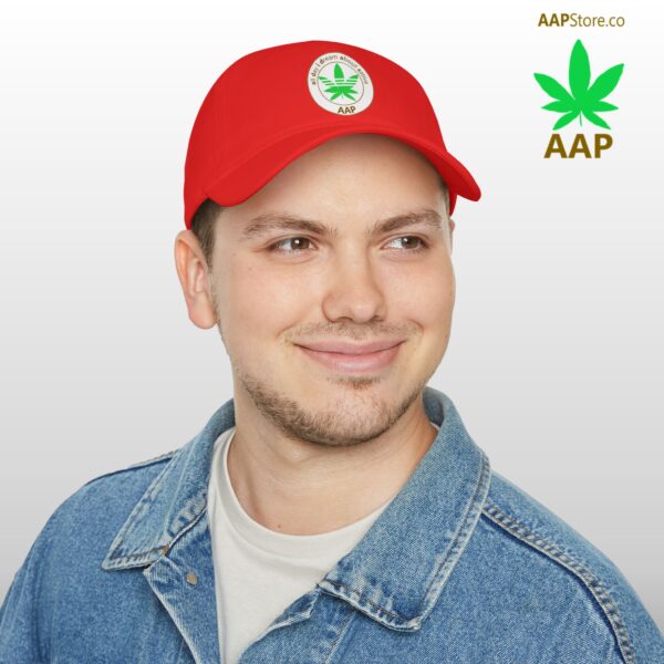 Follow The Program AAP Original All Day I Dream About Sativa Low Profile Baseball Cap - Image 12