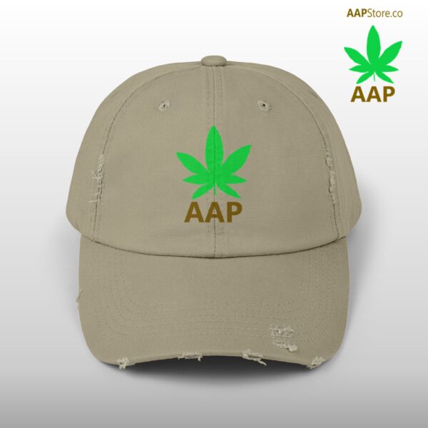 Follow The Program AAP Original AAPStore.co Logo Distressed Cap - Image 19