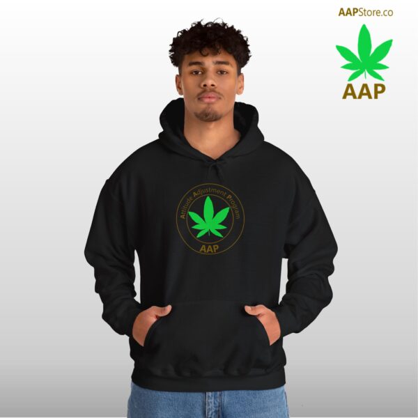 Follow The Program AAP Original Hoodie