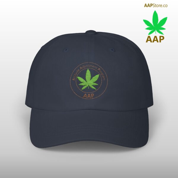 Follow The Program AAP Original Classic Dad Cap - Image 4