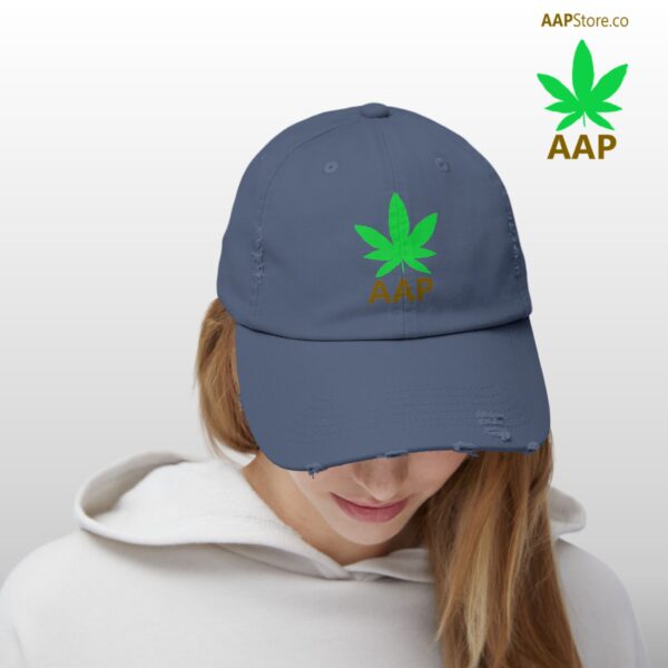 Follow The Program AAP Original AAPStore.co Logo Distressed Cap - Image 33