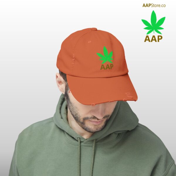 Follow The Program AAP Original AAPStore.co Logo Distressed Cap - Image 10