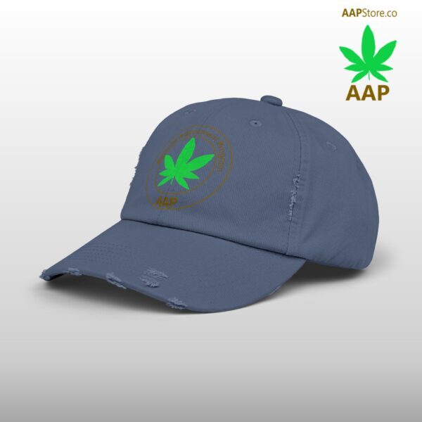 Follow The Program AAP Original Unisex Distressed Cap - Image 26