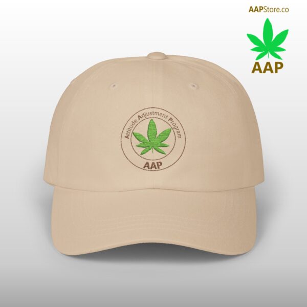 Follow The Program AAP Original Classic Dad Cap - Image 13