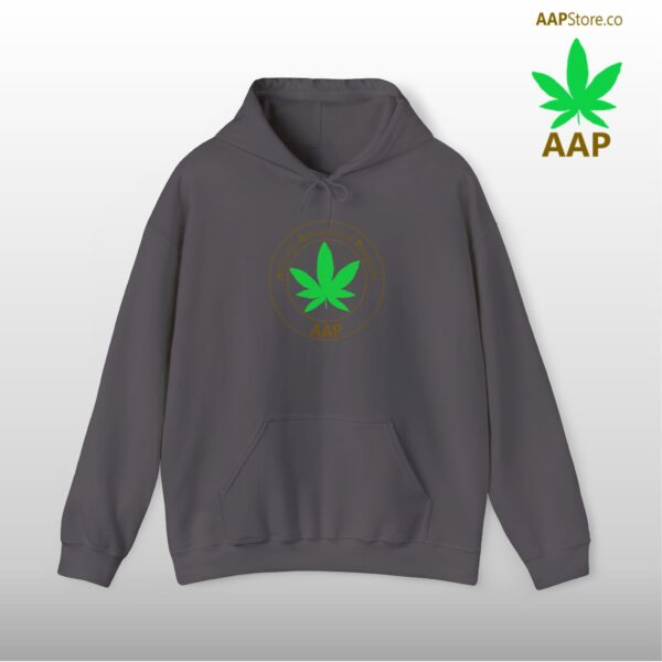 Follow The Program AAP Original Hoodie - Image 16