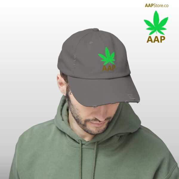 Follow The Program AAP Original AAPStore.co Logo Distressed Cap - Image 28