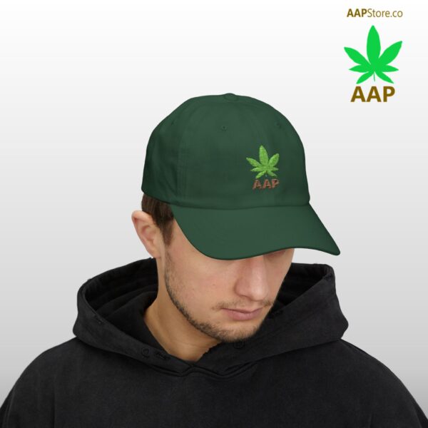 Follow The Program AAP Original AAPStore.co Logo Classic Dad Cap - Image 5