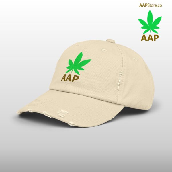 Follow The Program AAP Original AAPStore.co Logo Distressed Cap - Image 38