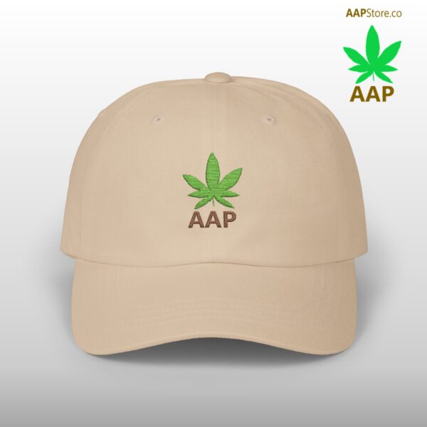 Follow The Program AAP Original AAPStore.co Logo Classic Dad Cap