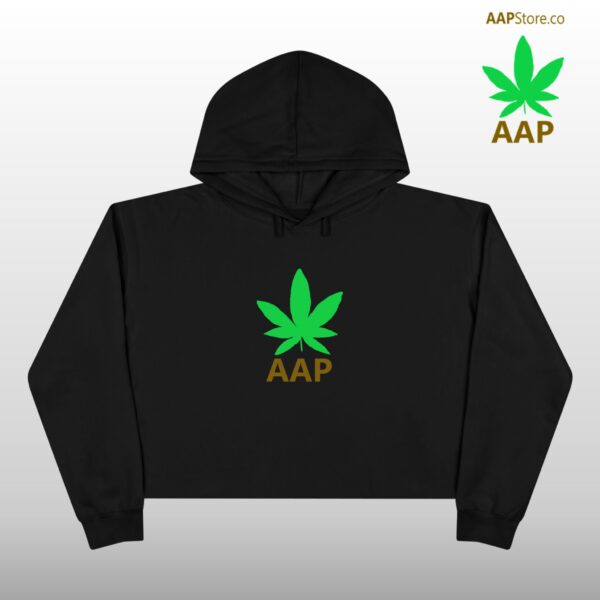 Follow The Program AAP Original AAPStore.co Crop Hoodie