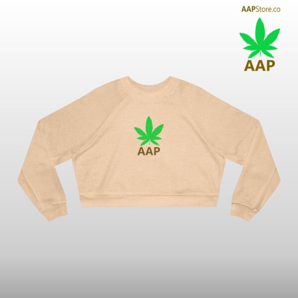 Follow The Program AAP Original AAPStore.co Logo Cropped Fleece Pullover - Image 7