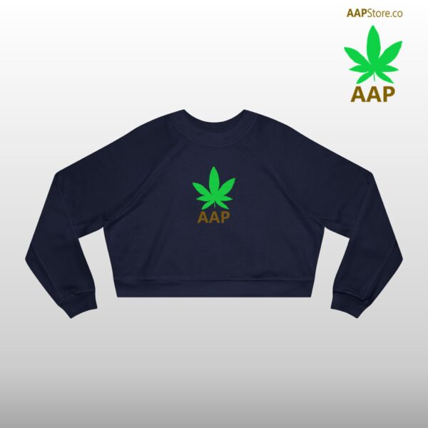 Follow The Program AAP Original AAPStore.co Logo Cropped Fleece Pullover - Image 13