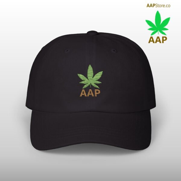 Follow The Program AAP Original AAPStore.co Logo Classic Dad Cap - Image 8
