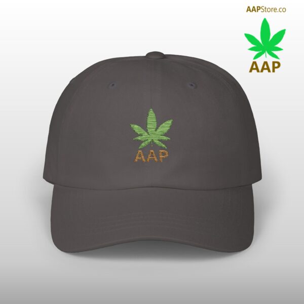 Follow The Program AAP Original AAPStore.co Logo Classic Dad Cap - Image 9