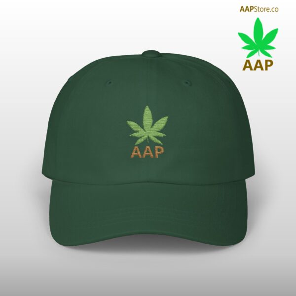 Follow The Program AAP Original AAPStore.co Logo Classic Dad Cap - Image 2