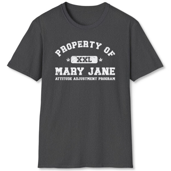 aap property of mary jane attitude adjustment program 420 tee darkheather 1x1