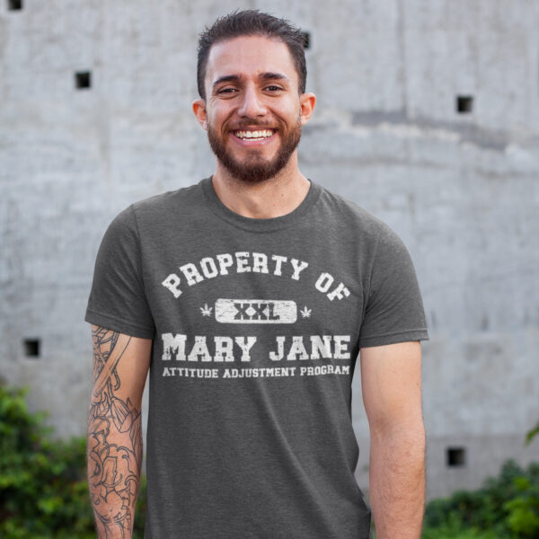 aap property of mary jane attitude adjustment program 420 tee darkheather male model 1x1